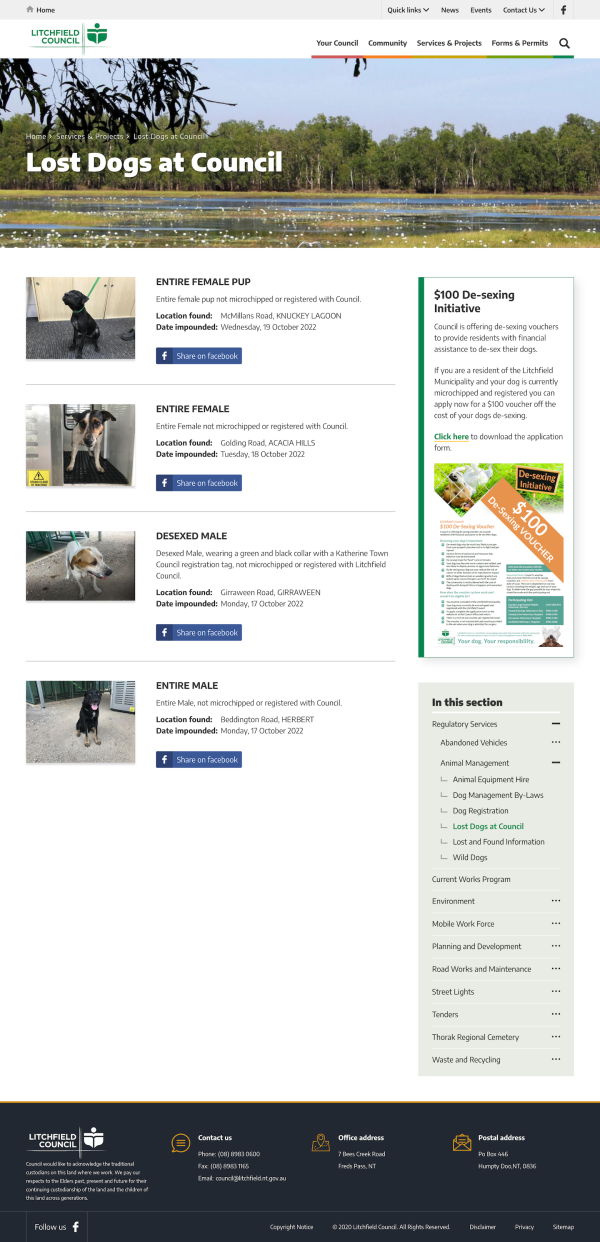 Lost Dogs at Council page